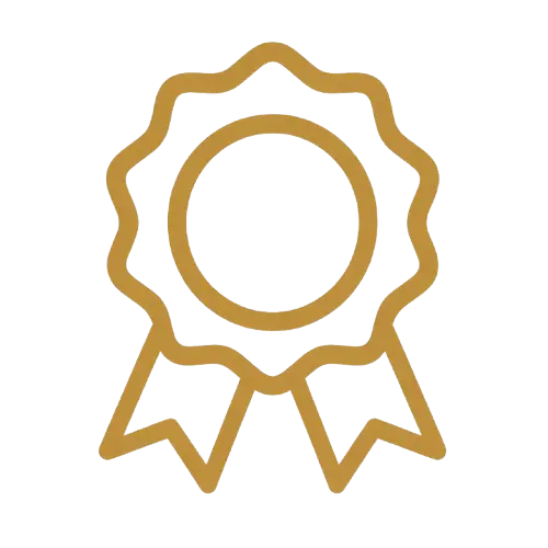 Premium Quality standards icon